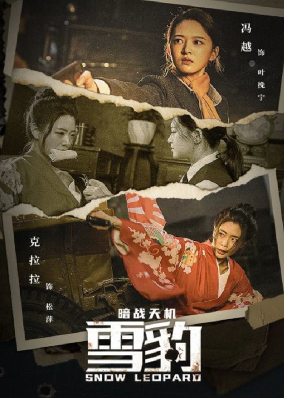 2021年国产动作战争片《雪豹之暗战天机》HD国语中字