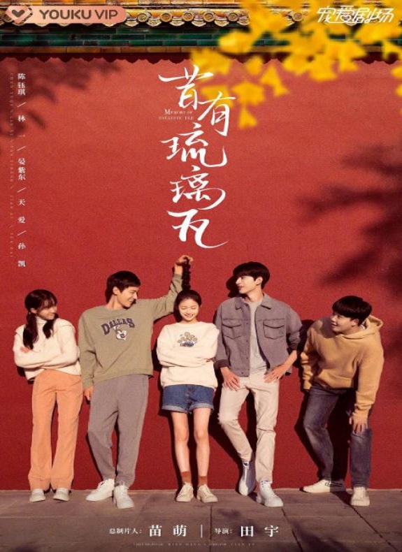 2022年国产大陆电视剧《昔有琉璃瓦》全34集