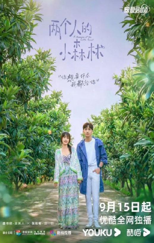 2022年国产大陆电视剧《两个人的小森林》全35集