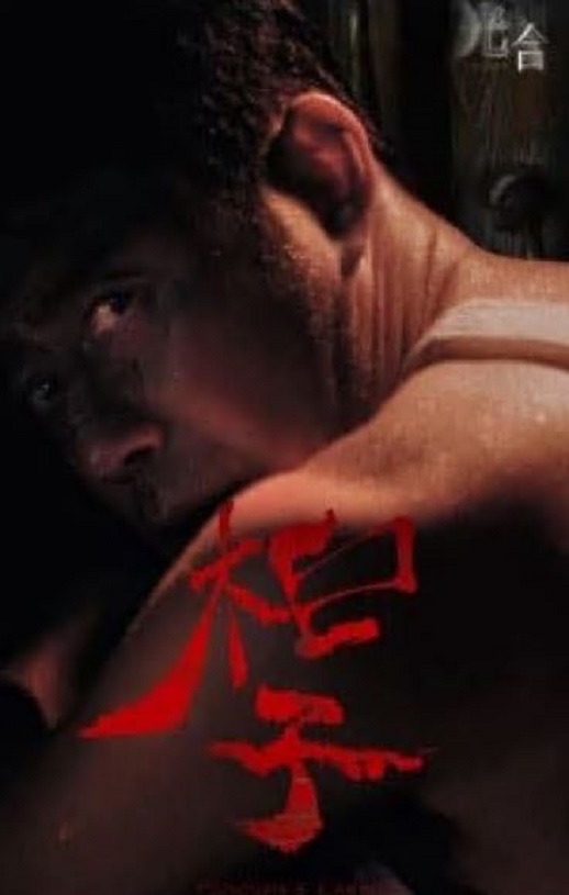 2023年国产大陆电视剧《光合计划》全8集