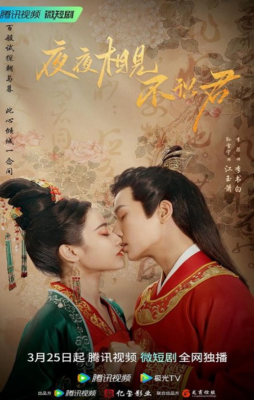 2023年国产大陆电视剧《夜夜相见不识君》全24集