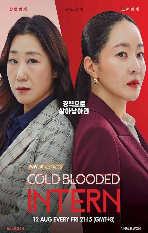 2023年韩国电视剧《残酷的实习生》全12集