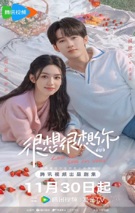2023年国产大陆电视剧《很想很想你》全33集