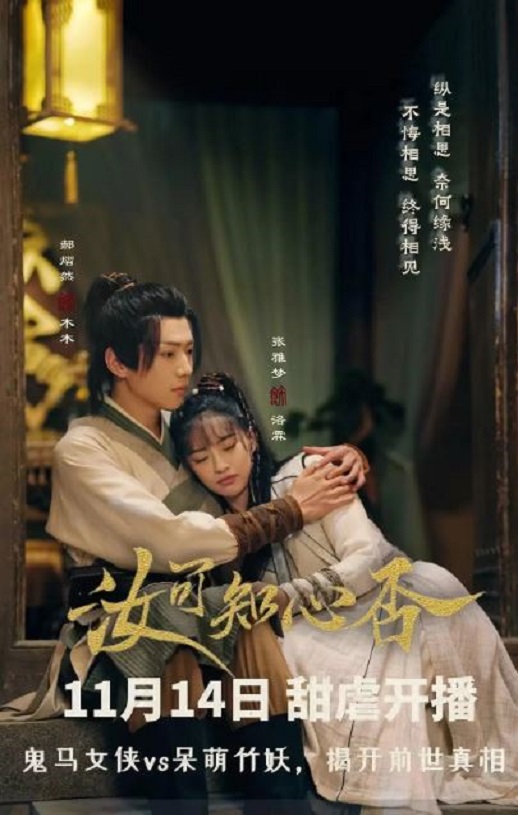 2024年国产大陆电视剧《汝可知心否》全24集