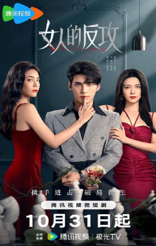 2024年国产大陆电视剧《女人的反攻》全24集