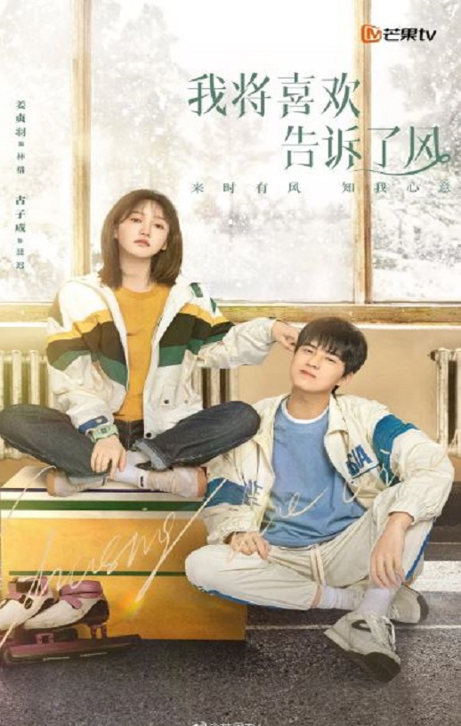 2024年国产大陆电视剧《我将喜欢告诉了风》全20集