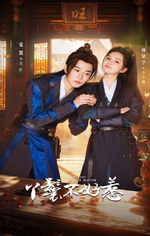 2024年国产大陆电视剧《丫鬟不好惹》全20集