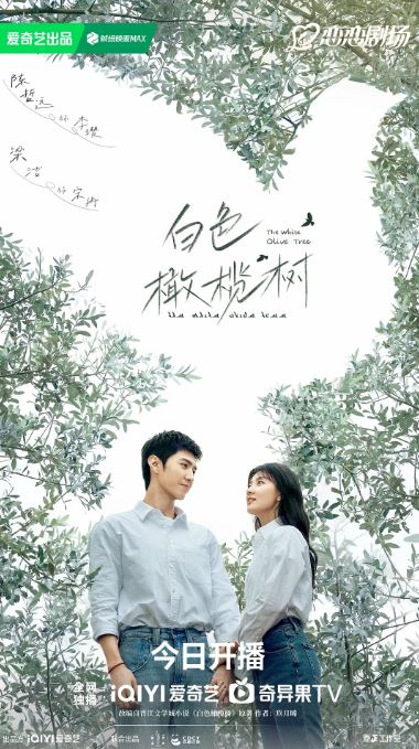 2025年国产大陆电视剧《白色橄榄树》全38集