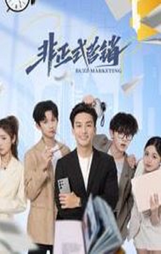 2025年国产大陆电视剧《非正式营销》全24集