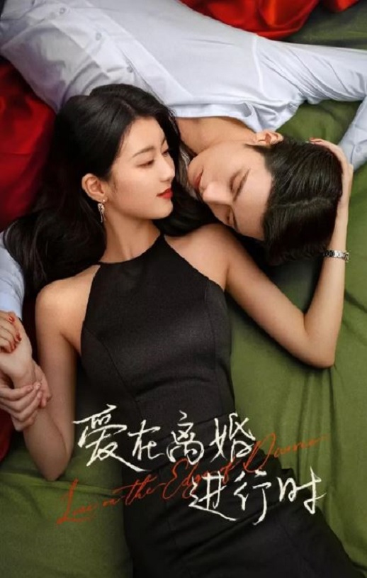 2025年国产大陆电视剧《爱在离婚进行时》全31集