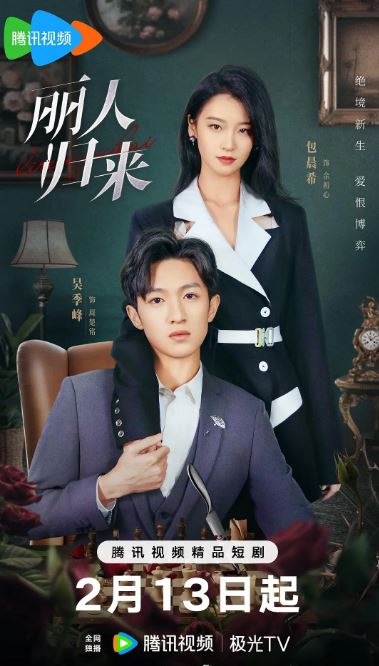 2025年国产大陆电视剧《丽人归来》全24集