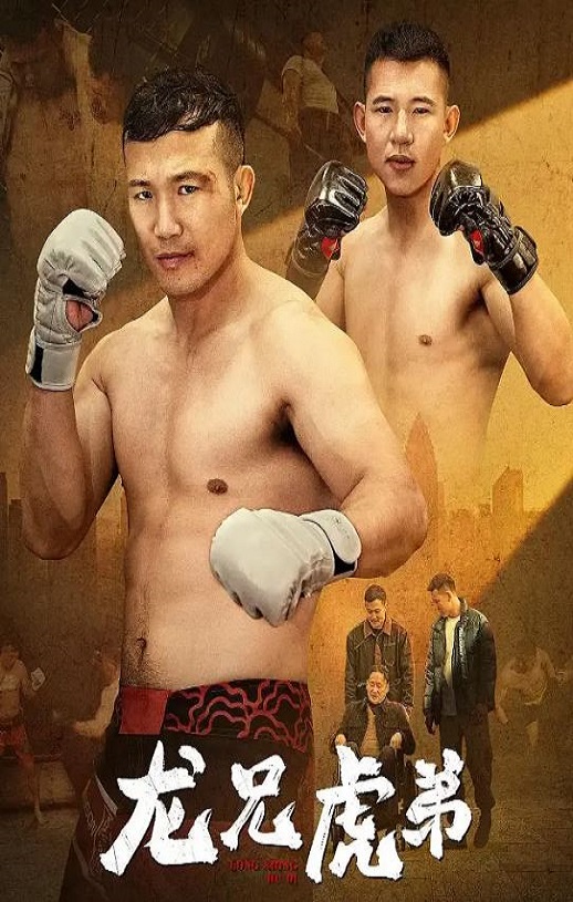 2025年国产动作片《龙兄虎弟》HD国语中字