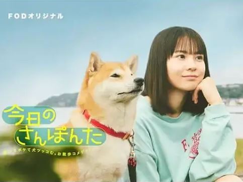 2025年日本电视剧《今日份的散步》全8集
