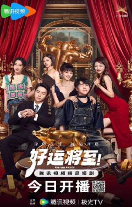 2025年国产大陆电视剧《好运将至》全24集