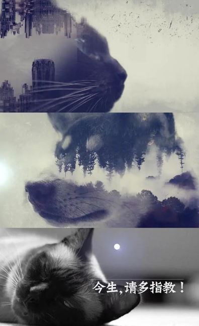 2022年国产大陆纪录片《今生，请多指教 第二季》全6集