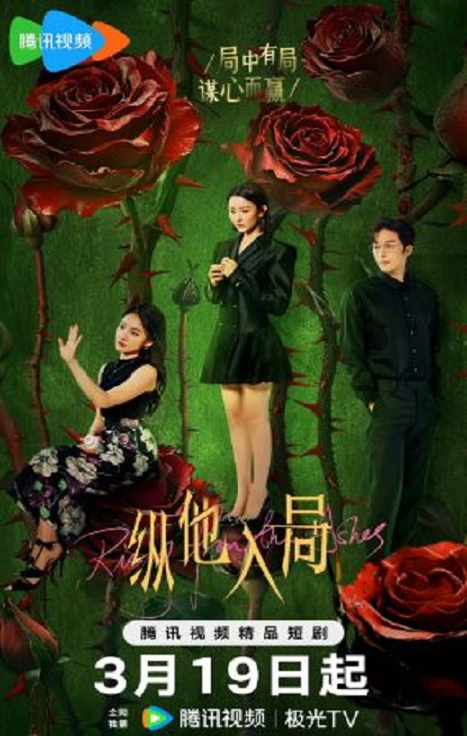 2025年国产大陆电视剧《纵他入局》全24集