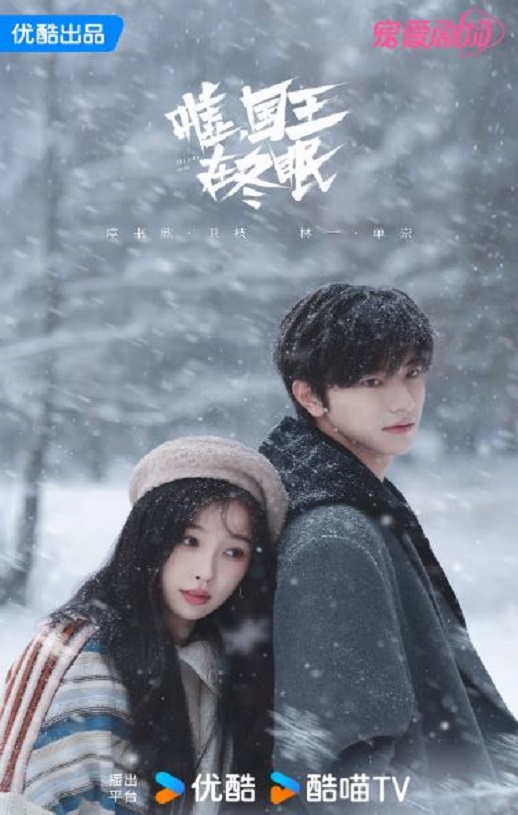 2025年国产大陆电视剧《嘘，国王在冬眠》全23集