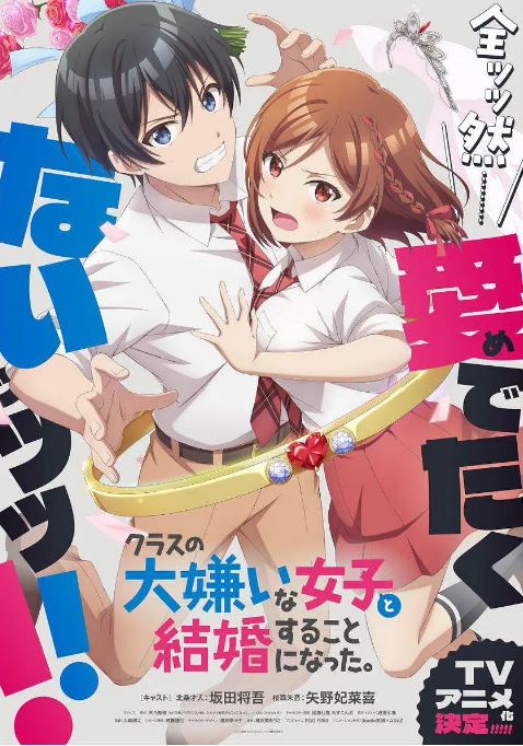 2025年日本动漫《我和班上最讨厌的女生结婚了》全12集