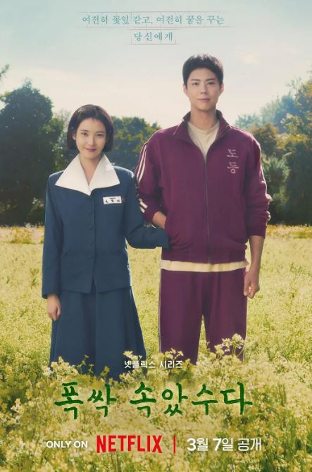 2025年韩国电视剧《苦尽柑来遇见你》全16集