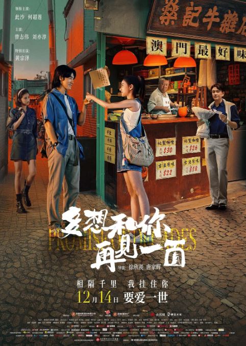 2024年国产爱情片《多想和你再见一面》HD国语中英双字