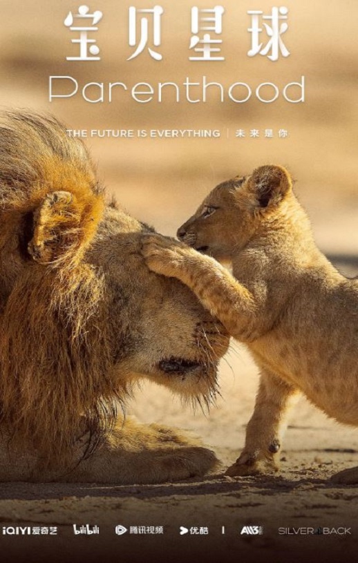 2025年英国纪录片《宝贝星球 中配版》全6集