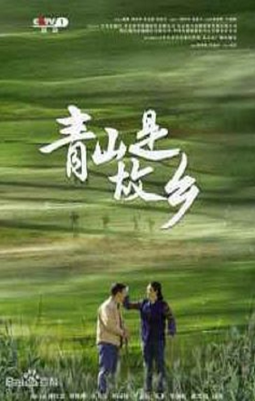 2025年国产大陆电视剧《青山是故乡》全29集