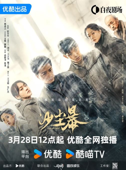 2025年国产大陆电视剧《沙尘暴》全12集