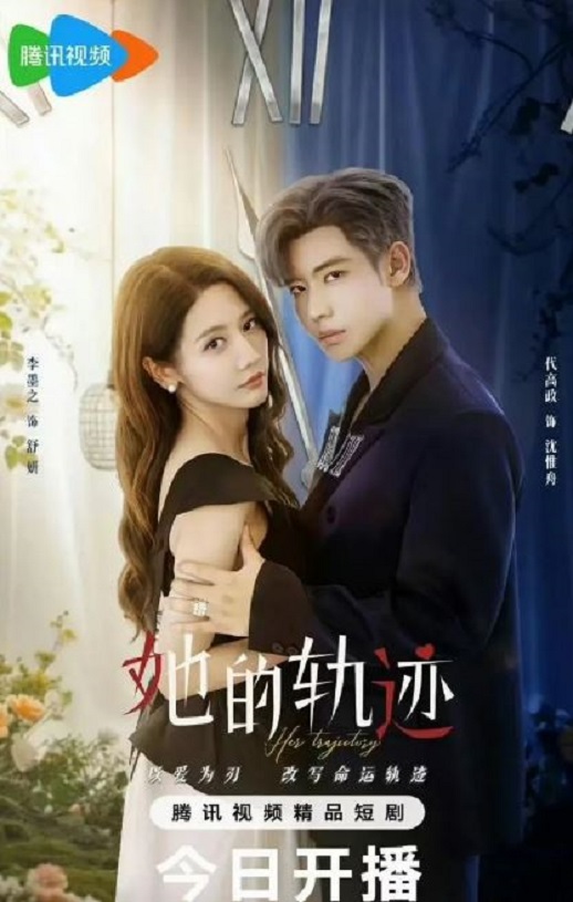 2025年国产大陆电视剧《她的轨迹》全31集