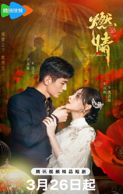 2025年国产大陆电视剧《燃情》全24集