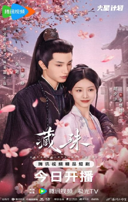 2025年国产大陆电视剧《藏珠》全24集
