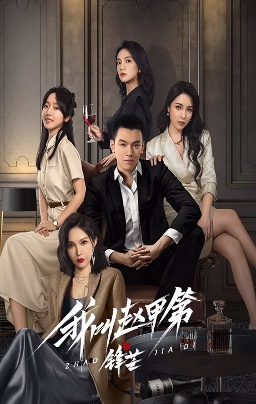 2025年国产大陆电视剧《我叫赵甲第之锋芒》全23集