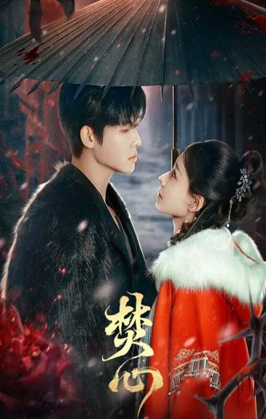 2025年国产大陆电视剧《焚心》全23集