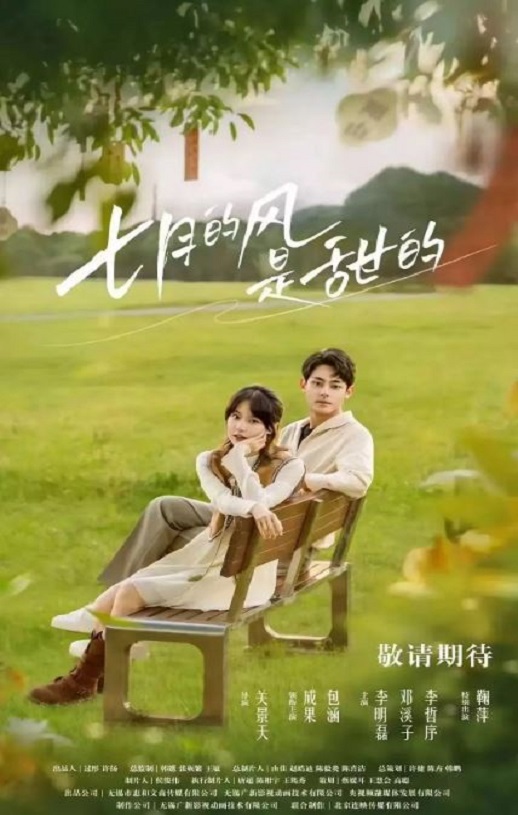 2025年国产大陆电视剧《七月的风是甜的》全18集