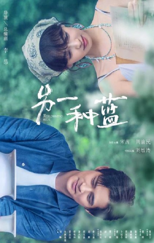 2024年国产大陆电视剧《另一种蓝》全36集