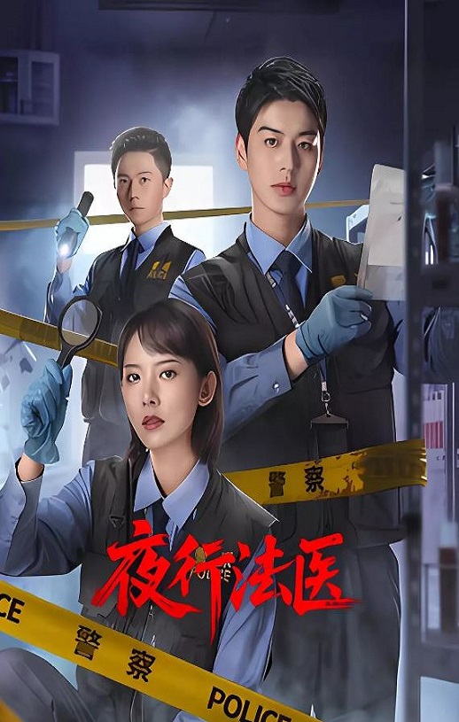2025年国产大陆电视剧《夜行法医》全24集