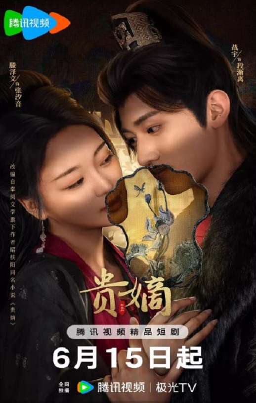 2025年国产大陆电视剧《贵嫡》全21集