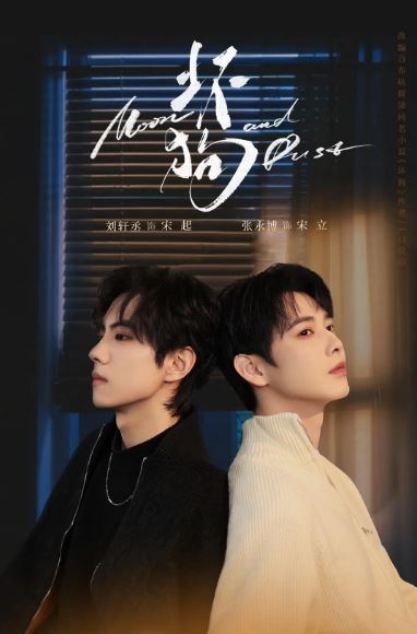 2025年国产大陆电视剧《坏狗》全6集