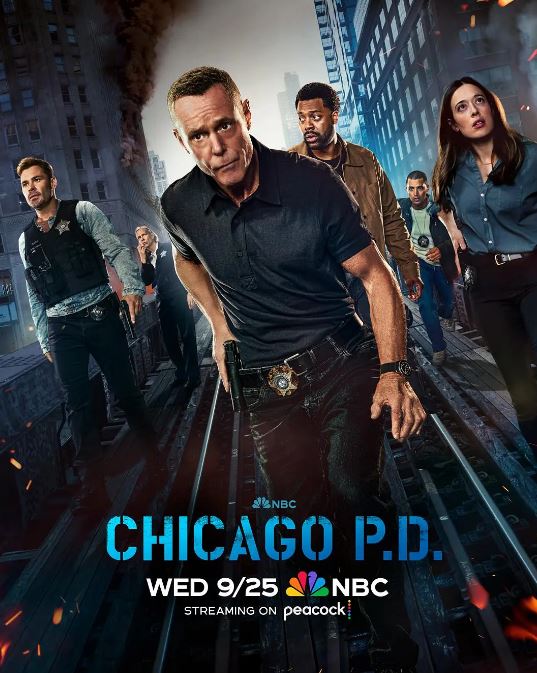 2024年美国电视剧《芝加哥警署 第十二季》全22集